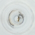  ( - FACE_189_D7)  @11 [ ] by  Genome Research Ltd as Wellcome Sanger Institute Genome Research Limited operating as Wellcome Sanger Institute