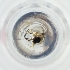  ( - FACE_191_E12)  @11 [ ] by  Genome Research Ltd as Wellcome Sanger Institute Genome Research Limited operating as Wellcome Sanger Institute