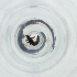  ( - FACE_192_C2)  @11 [ ] by  Genome Research Ltd as Wellcome Sanger Institute Genome Research Limited operating as Wellcome Sanger Institute