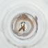  ( - FACE_195_G7)  @11 [ ] by  Genome Research Ltd as Wellcome Sanger Institute Genome Research Limited operating as Wellcome Sanger Institute