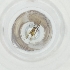  ( - FACE_196_C9)  @11 [ ] by  Genome Research Ltd as Wellcome Sanger Institute Genome Research Limited operating as Wellcome Sanger Institute