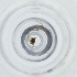  ( - FACE_198_H7)  @11 [ ] by  Genome Research Ltd as Wellcome Sanger Institute Genome Research Limited operating as Wellcome Sanger Institute