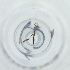  ( - FACE_199_B4)  @11 [ ] by  Genome Research Ltd as Wellcome Sanger Institute Genome Research Limited operating as Wellcome Sanger Institute