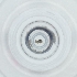  (Dicyrtomina saundersi - FACE_201_E10)  @11 [ ] by  Genome Research Ltd as Wellcome Sanger Institute Genome Research Limited operating as Wellcome Sanger Institute