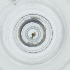  ( - FACE_204_B5)  @11 [ ] by  Genome Research Ltd as Wellcome Sanger Institute Genome Research Limited operating as Wellcome Sanger Institute