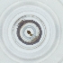  ( - FACE_208_D3)  @11 [ ] by  Genome Research Ltd as Wellcome Sanger Institute Genome Research Limited operating as Wellcome Sanger Institute