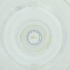  ( - FACE_209_B6)  @11 [ ] by  Genome Research Ltd as Wellcome Sanger Institute Genome Research Limited operating as Wellcome Sanger Institute