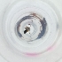  ( - FACE_210_H11)  @11 [ ] by  Genome Research Ltd as Wellcome Sanger Institute Genome Research Limited operating as Wellcome Sanger Institute