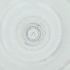  ( - FACE_214_B4)  @11 [ ] by  Genome Research Ltd as Wellcome Sanger Institute Genome Research Limited operating as Wellcome Sanger Institute
