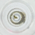  ( - FACE_216_G10)  @11 [ ] by  Genome Research Ltd as Wellcome Sanger Institute Genome Research Limited operating as Wellcome Sanger Institute