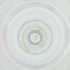 ( - FACE_220_D11)  @11 [ ] by  Genome Research Ltd as Wellcome Sanger Institute Genome Research Limited operating as Wellcome Sanger Institute
