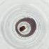  ( - FACE_228_E2)  @11 [ ] by  Genome Research Ltd as Wellcome Sanger Institute Genome Research Limited operating as Wellcome Sanger Institute