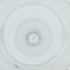  ( - FACE_230_D12)  @11 [ ] by  Genome Research Ltd as Wellcome Sanger Institute Genome Research Limited operating as Wellcome Sanger Institute