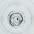  ( - FACE_236_D3)  @11 [ ] by  Genome Research Ltd as Wellcome Sanger Institute Genome Research Limited operating as Wellcome Sanger Institute