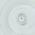  (Ixodes frontalis - FACE_242_H1)  @11 [ ] by  Genome Research Ltd as Wellcome Sanger Institute Genome Research Limited operating as Wellcome Sanger Institute