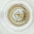  ( - FACE_290_B2)  @11 [ ] by  Genome Research Ltd as Wellcome Sanger Institute Genome Research Limited operating as Wellcome Sanger Institute