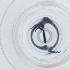  ( - FACE_305_H10)  @11 [ ] by  Genome Research Ltd as Wellcome Sanger Institute Genome Research Limited operating as Wellcome Sanger Institute