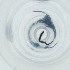  ( - FACE_306_C12)  @11 [ ] by  Genome Research Ltd as Wellcome Sanger Institute Genome Research Limited operating as Wellcome Sanger Institute