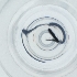  ( - FACE_314_F3)  @11 [ ] by  Genome Research Ltd as Wellcome Sanger Institute Genome Research Limited operating as Wellcome Sanger Institute
