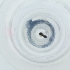  ( - FACE_319_E12)  @11 [ ] by  Genome Research Ltd as Wellcome Sanger Institute Genome Research Limited operating as Wellcome Sanger Institute
