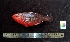  ( - WEH_3 31 2_SNIGER)  @11 [ ] Copyright (2017) FADLI Unspecified