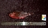  ( - WEH_BYII2_SNIGER)  @11 [ ] Copyright (2017) FADLI Unspecified