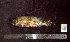  ( - WEH_Smpl 2.2_MERRA)  @11 [ ] Copyright (2017) FADLI Unspecified
