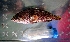  ( - WEH_Smpl 7.2_MERRA)  @11 [ ] Copyright (2017) FADLI Unspecified