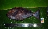  ( - WEH_TT2_MATA)  @13 [ ] Copyright (2017) FADLI Unspecified