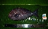  ( - WEH_TT9_MATA)  @13 [ ] Copyright (2017) FADLI Unspecified