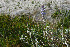  ( - AC0002_FAGRO)  @11 [ ] CreativeCommons - Attribution Non-Commercial (2023) Ary Mailhos Facultad de Agronomia, UDELAR