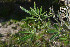  ( - AC0002_FAGRO)  @11 [ ] CreativeCommons - Attribution Non-Commercial (2023) Ary Mailhos Facultad de Agronomia, UDELAR