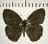  ( - CFC10003)  @11 [ ] Copyright (2018) Christer Fahraeus Center For Collection-Based Research