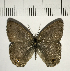  ( - CFC10152)  @11 [ ] Copyright (2018) Christer Fahraeus Center For Collection-Based Research