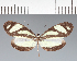  ( - CFC01021)  @11 [ ] copyright (2023) Center For Collection-Based Research Center For Collection-Based Research