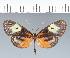  ( - CFC01024)  @11 [ ] copyright (2022) Center For Collection-Based Research Center For Collection-Based Research