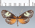  ( - CFC01027)  @11 [ ] copyright (2022) Center For Collection-Based Research Center For Collection-Based Research