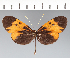 ( - CFC10420)  @11 [ ] copyright (2022) Center For Collection-Based Research Center For Collection-Based Research
