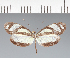  ( - CFC10454)  @11 [ ] copyright (2023) Center For Collection-Based Research Center For Collection-Based Research