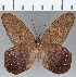  ( - CFC10595)  @11 [ ] Copyright (2019) Christer Fahraeus Center For Collection-Based Research