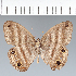  ( - CFC10705)  @11 [ ] copyright (2022) Center For Collection-Based Research Center For Collection-Based Research