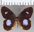  ( - CFC10925)  @11 [ ] Copyright (2019) Christer Fahraeus Center For Collection-Based Research