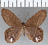  ( - CFC10927)  @11 [ ] Copyright (2019) Christer Fahraeus Center For Collection-Based Research