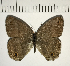  ( - CFC11012)  @11 [ ] Copyright (2018) Christer Fahraeus Center For Collection-Based Research