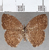  ( - CFC11078)  @11 [ ] copyright (2020) Christer Fahraeus Center For Collection-Based Research