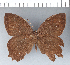  ( - CFC01108)  @11 [ ] Copyright (2018) Christer Fahraeus Center For Collection-Based Research