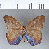  ( - CFC11289)  @11 [ ] Copyright (2018) Christer Fahraeus Center For Collection-Based Research