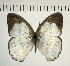  ( - CFC11430)  @13 [ ] Copyright (2018) Christer Fahraeus Center For Collection-Based Research