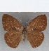  ( - CFC11461)  @11 [ ] copyright (2020) Christer Fahraeus Center For Collection-Based Research