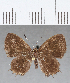  ( - CFC11542)  @11 [ ] Copyright (2019) Christer Fahraeus Center For Collection-Based Research